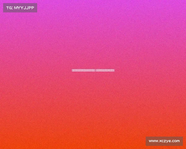 乌迪内斯与维特塞尔展开深度谈判 持续接触或迎来新转会动态